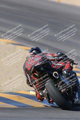 media/Nov-12-2023-SoCal Trackdays (Sun) [[5d1fba4e7d]]/Turn 10 Backside (115pm)/